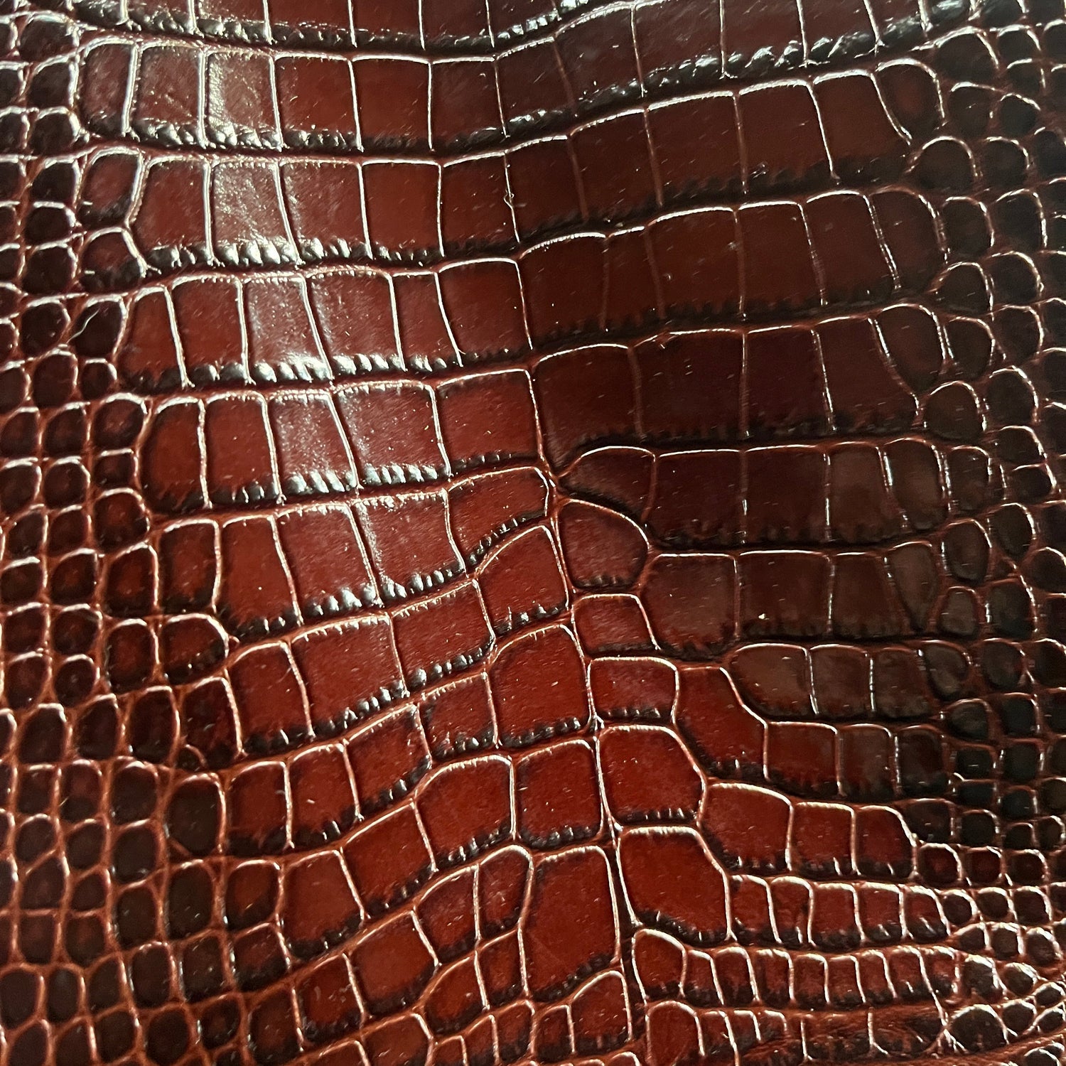 Close-up of brown crocodile skin texture